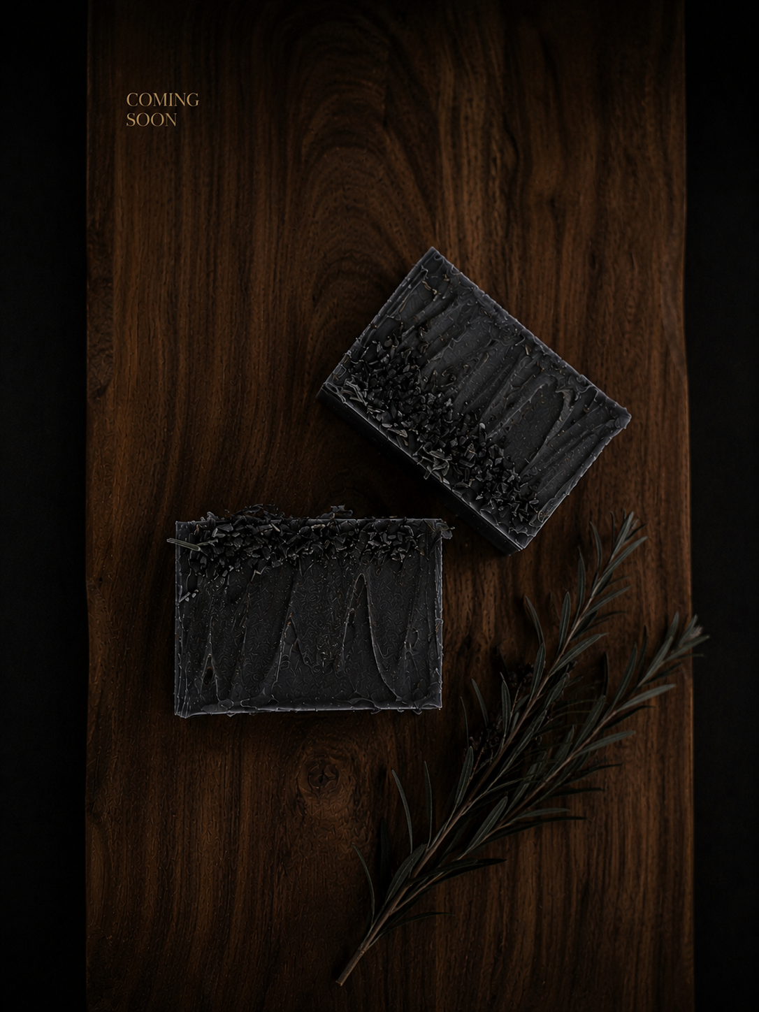 Activated Charcoal Soap